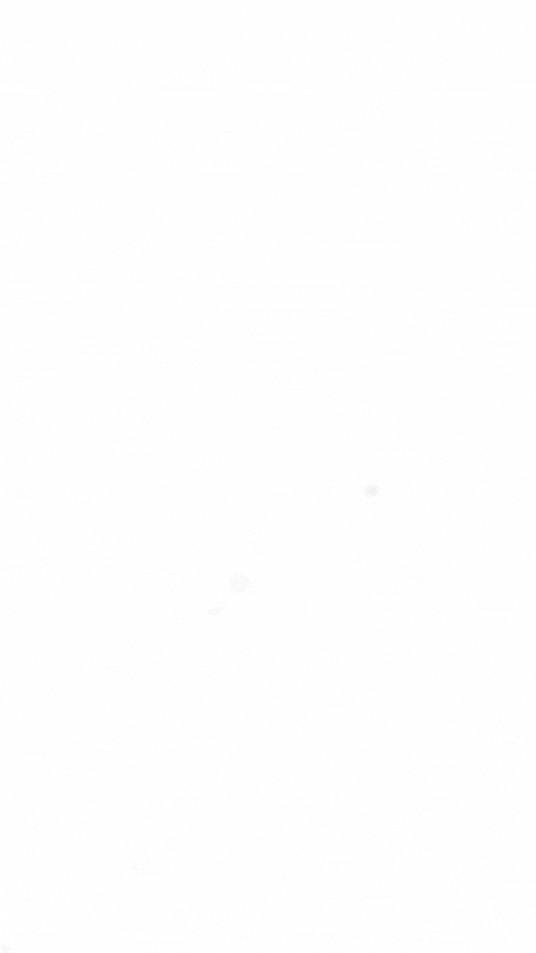Watermark OSMIS Animation